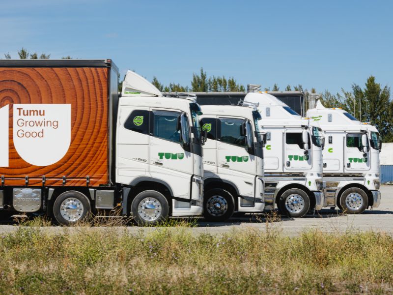 Line up of Tumu Transport Trucks